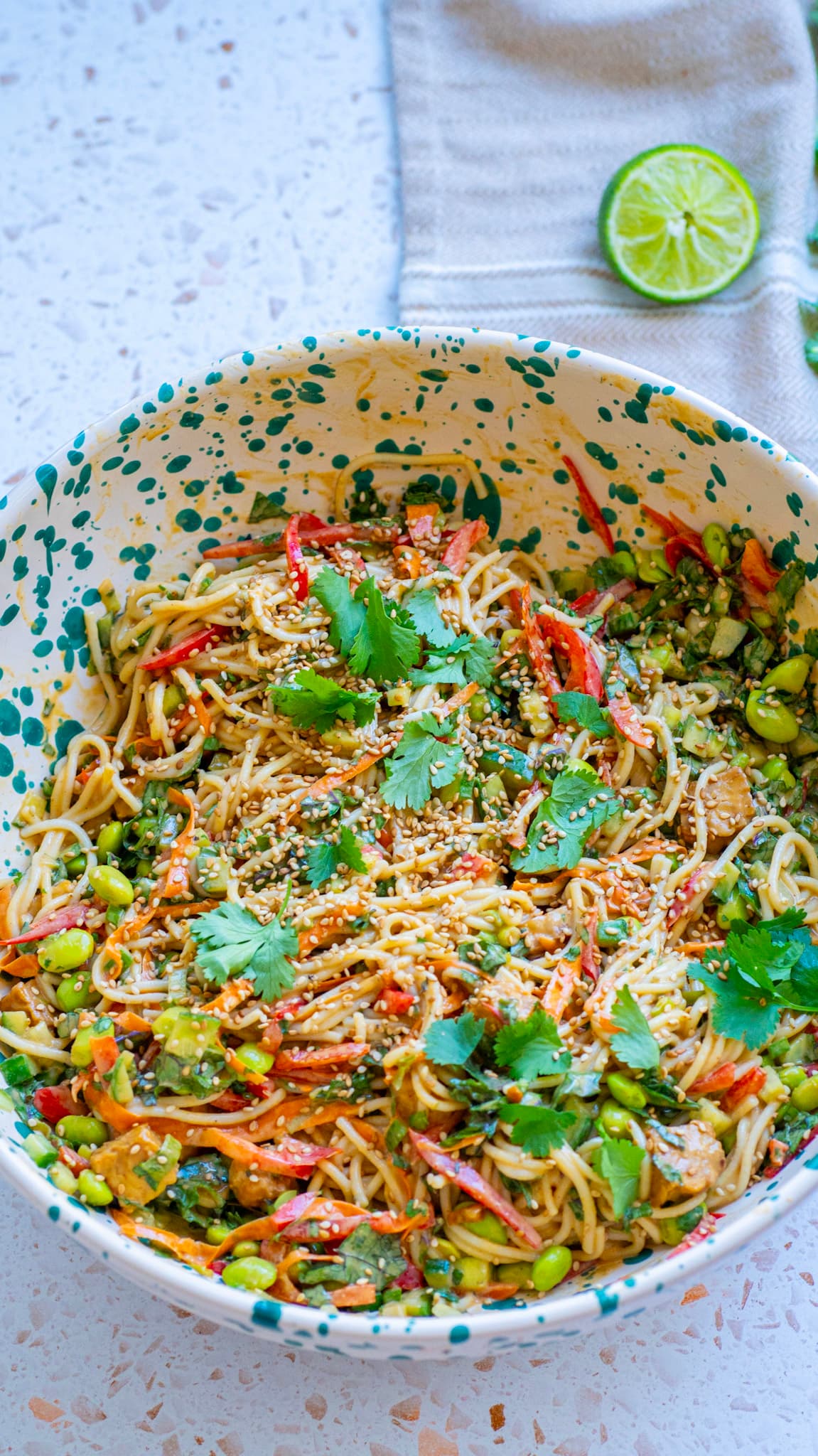 Peanut Udon Noodle Salad with Crispy Tempeh